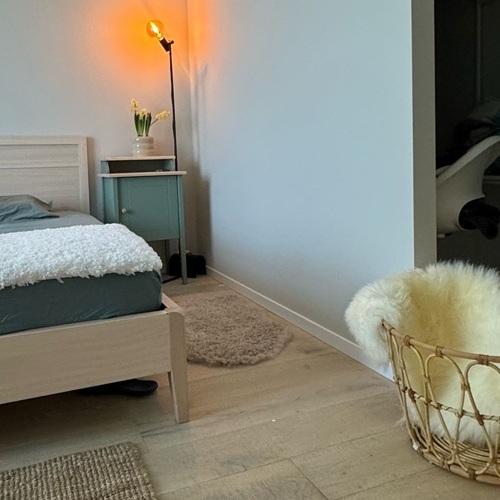 Wände verputzen und malen Innenräume