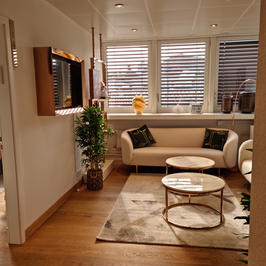 Wohnraum Renovation – Boden und Licht